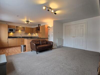 Picture 7